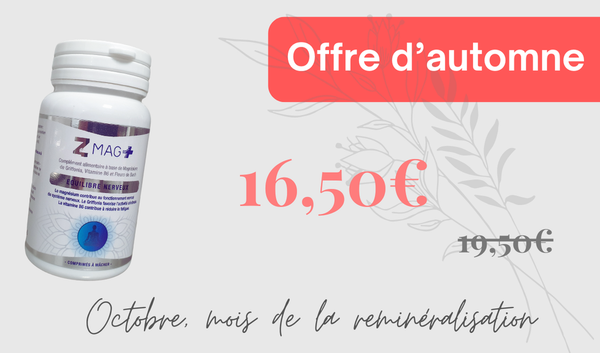 Notre offre d'automne